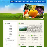 蔬菜公司网站模板
